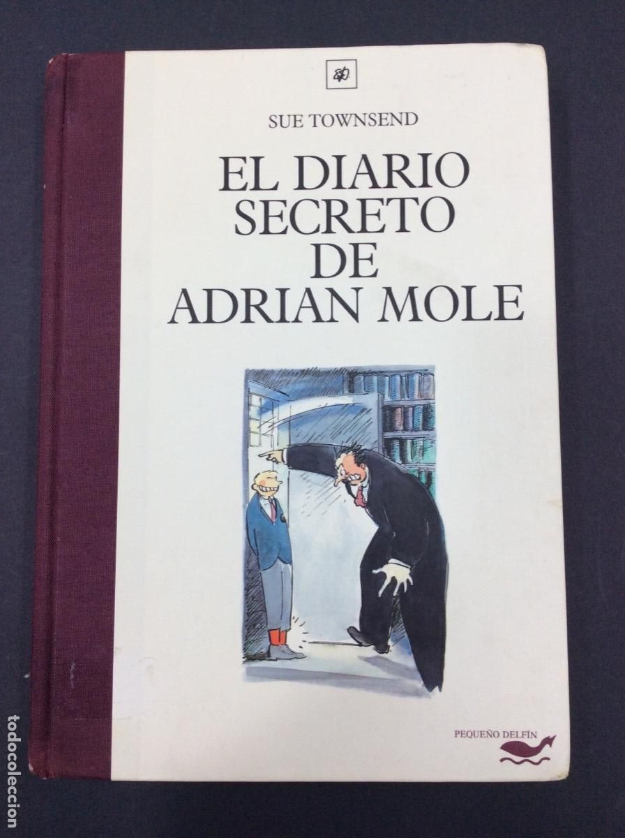 Libros: EL DIARIO SECRETO DE ADRIAN MOLE - SUE TOWSEND - Foto 1