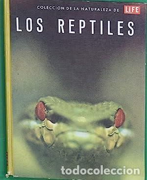 Libros: Los reptiles - Foto 1