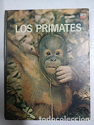 Libros: Los primates - Foto 1