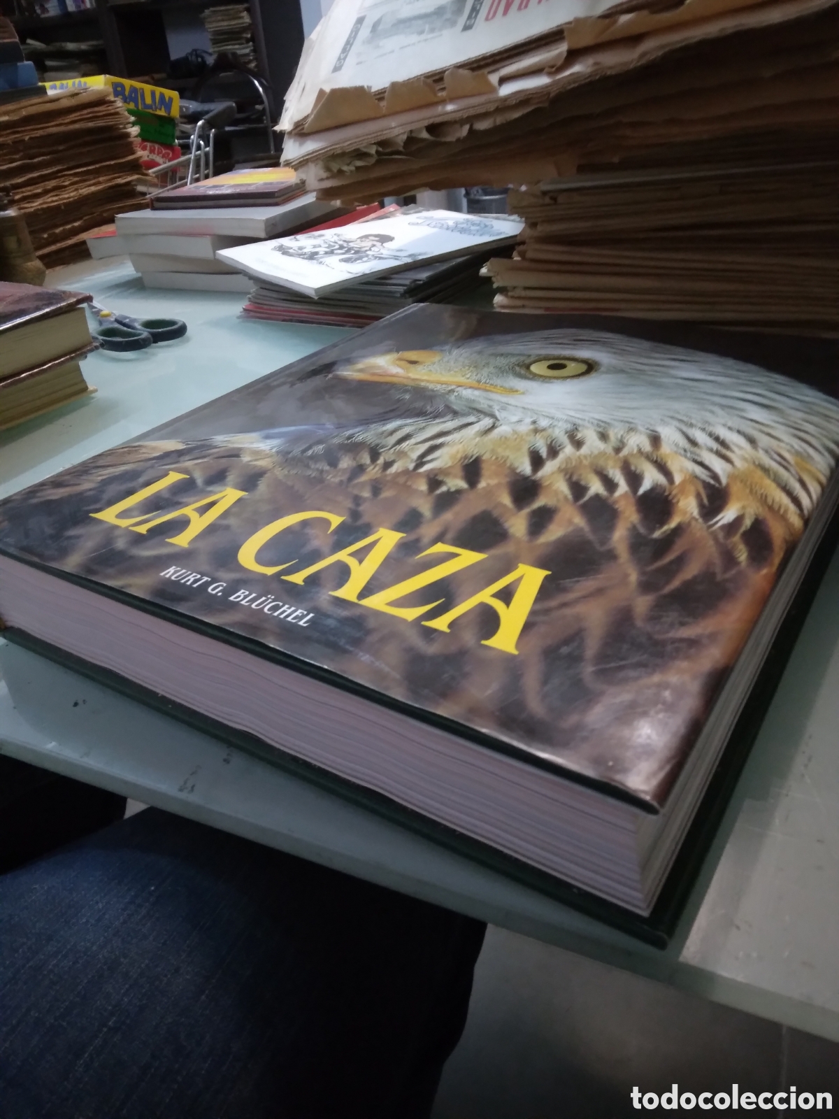 Libros: La caza, Kurt G. BLUCHEL, Konemann - Foto 2
