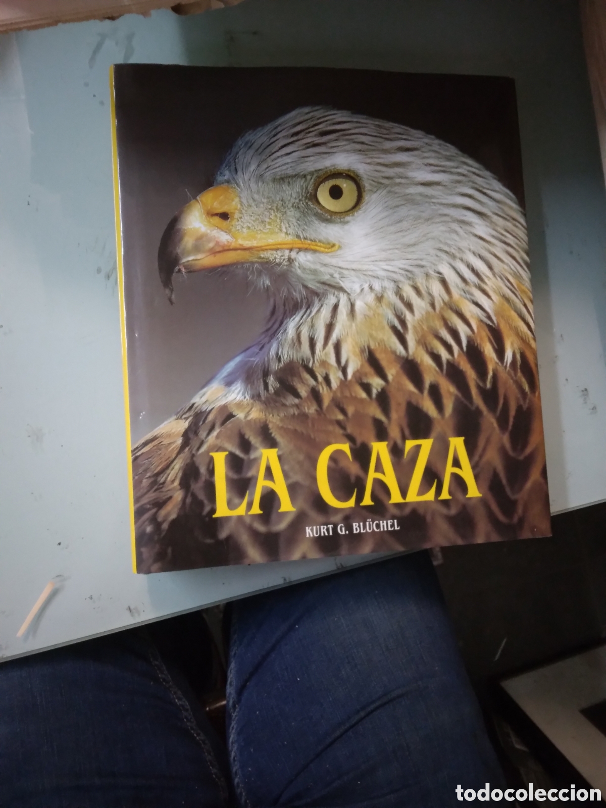 Libros: La caza, Kurt G. BLUCHEL, Konemann - Foto 1