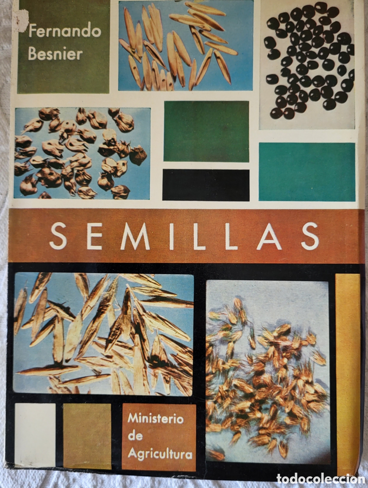 Libros: Semillas/Fernando Besnier Romero - Foto 1
