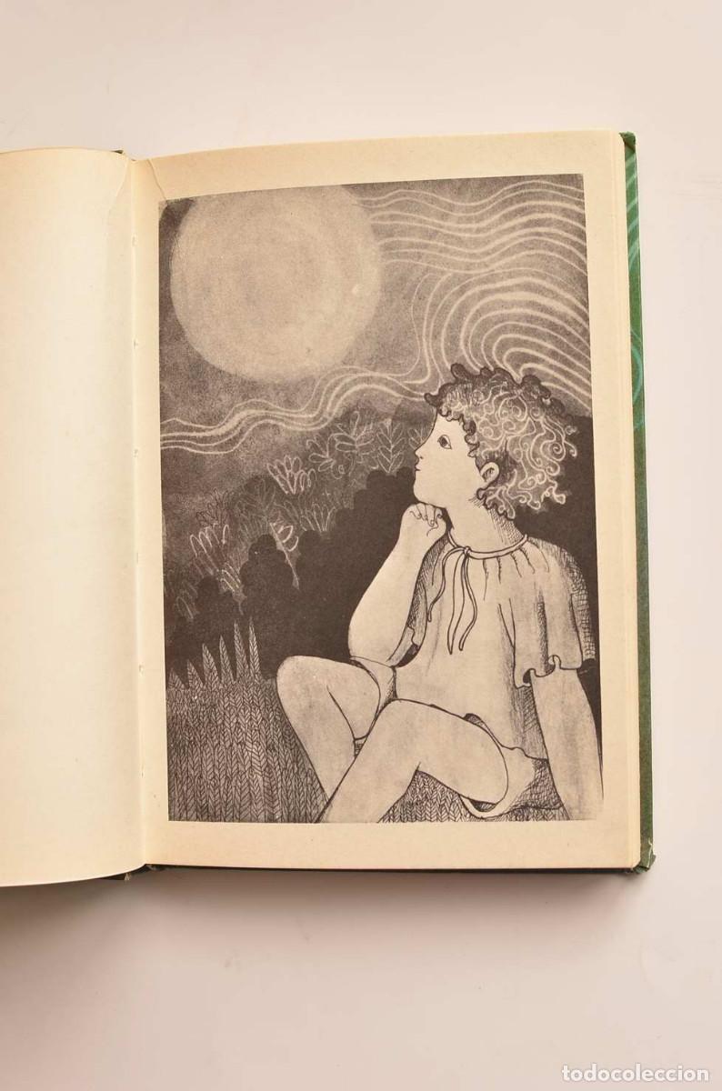 Libros: &Aacute;ngel en la luna - FERR&Aacute;N, Jaime1 - Foto 4
