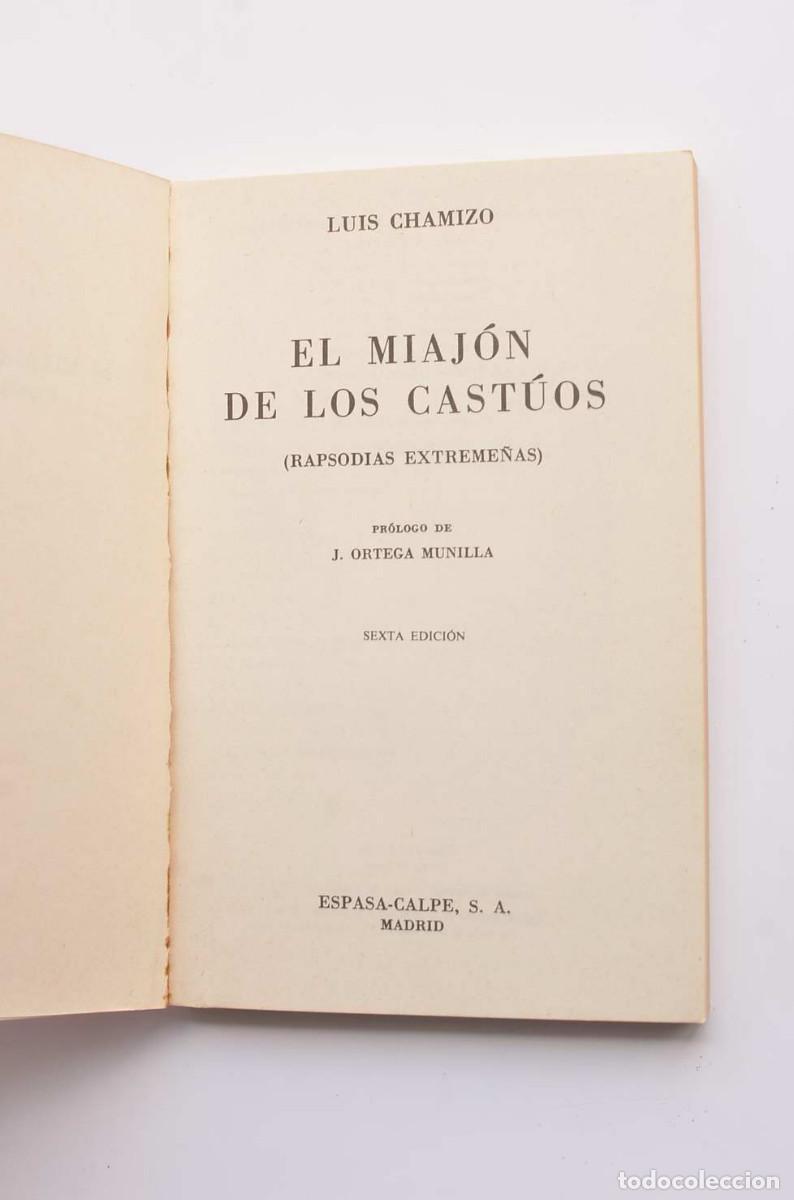Libros: El miaj&oacute;n de los cast&uacute;os (rapsodias extreme&ntilde;as) - CHAMIZO, Luis - Foto 2