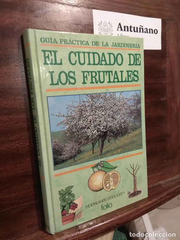Libros: El cuidado de los frutales - Guia pr&aacute;ctica de la jardiner&iacute;a - Foto 1