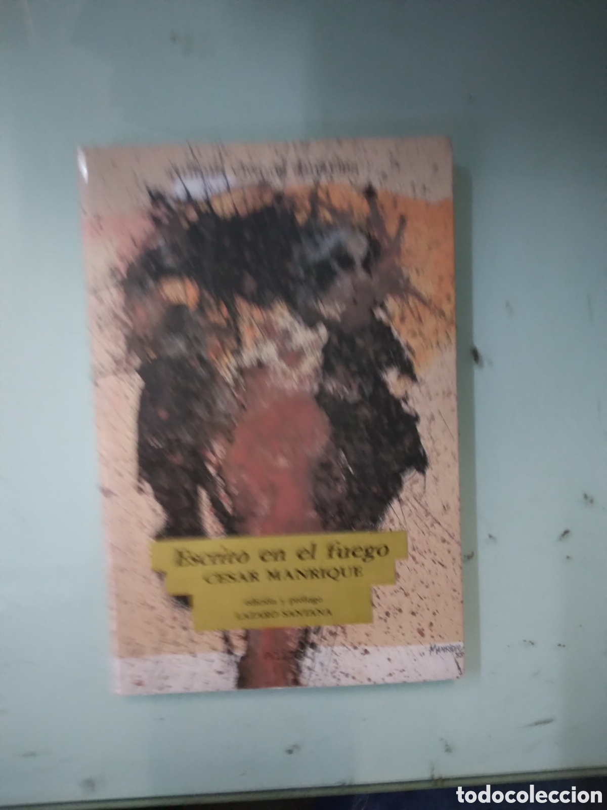 Libros: Escrito en el fuego, Cesar Manrique - Foto 1