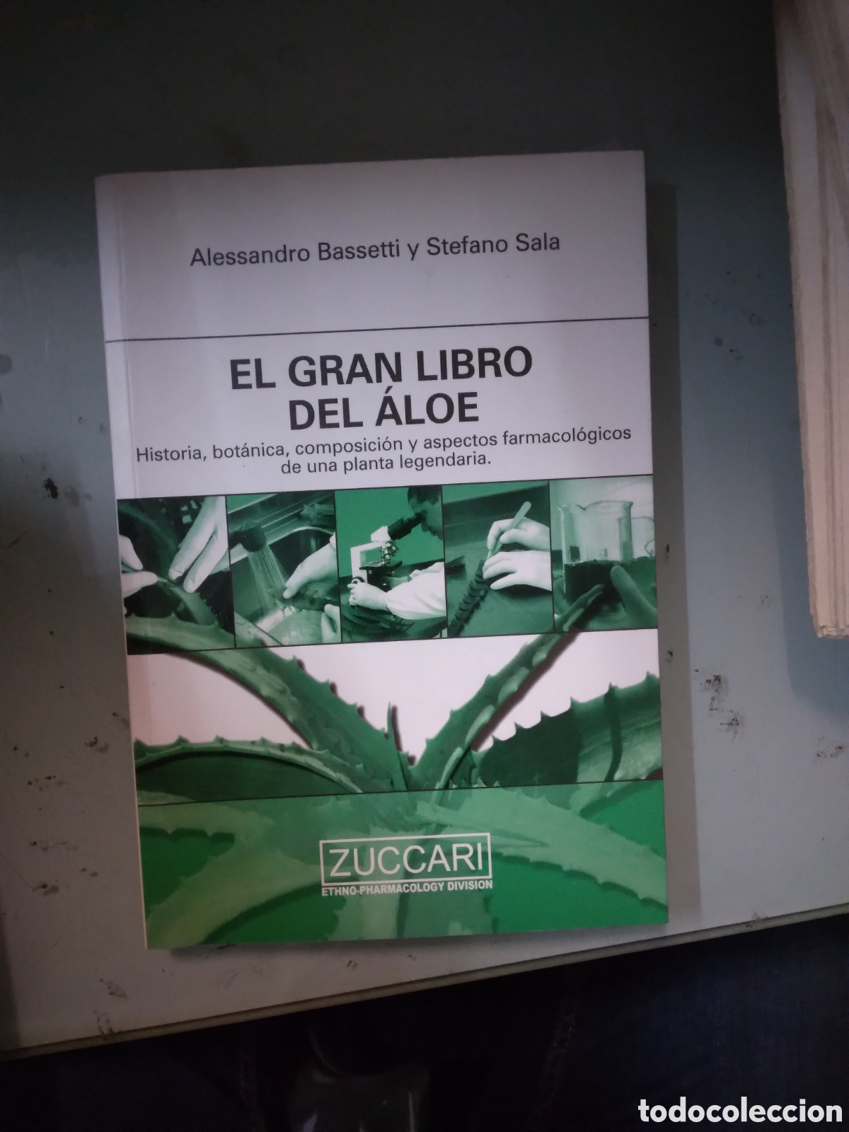 Libros: Alessandro Bassetti, El gran libro &Aacute;loe,Zuccari - Foto 1