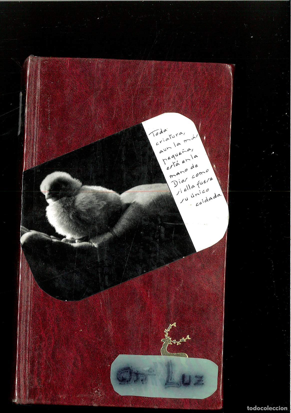 Libros: Documentos del vaticano I I - Sin Autor - Foto 1
