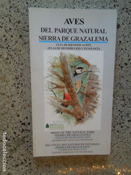 Libros: AVES DEL PARQUE NATURAL SIERRA DE GRAZALEMA - GU&Iacute;A DE IDENTIFICACI&Oacute;N... - ORNITOUR C&Aacute;DIZ 2008.