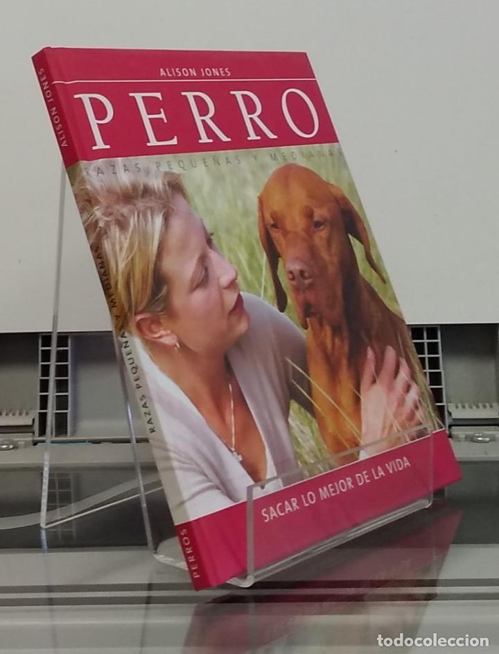 Libros: Perro. Razas peque&ntilde;as y medianas - Alison Jones - Foto 1