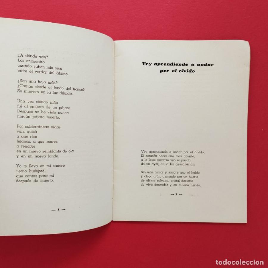 Libros: Recuerdo del Cielo. - Casal, Julio J. - Foto 4