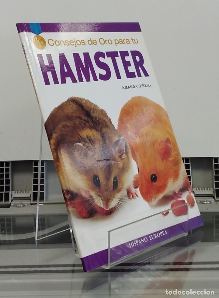 Libros: Consejos de oro para tu hamster - Amanda ONeill - Foto 1