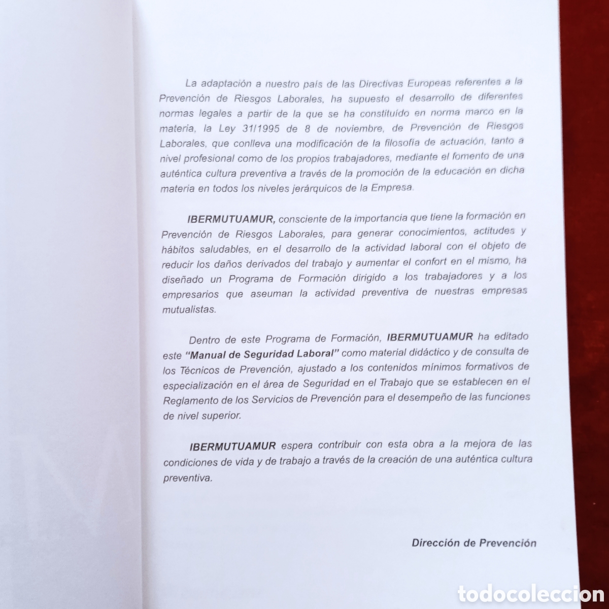 Libros: MANUAL DE SEGURIDAD LABORAL -1 - Foto 3