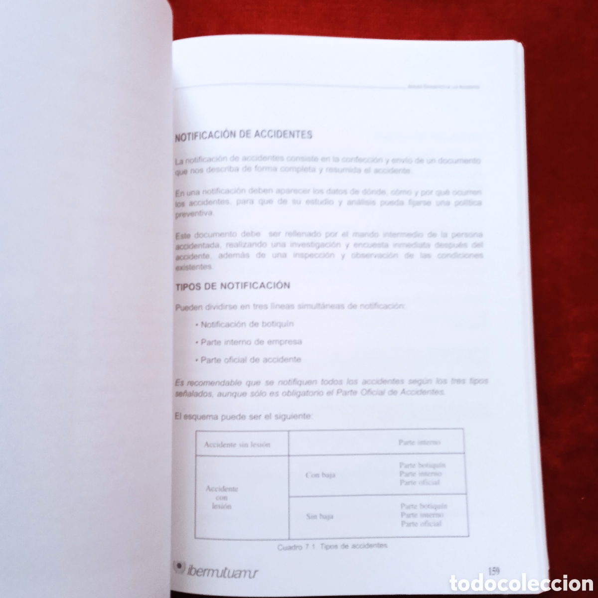 Libros: MANUAL DE SEGURIDAD LABORAL -1 - Foto 5