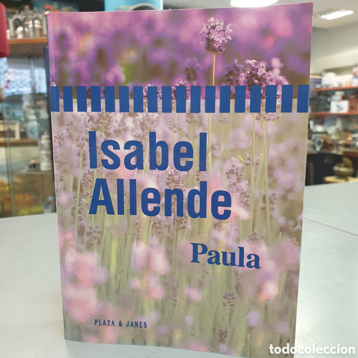 Libros: ISABEL ALLENDE . Paula - Foto 1