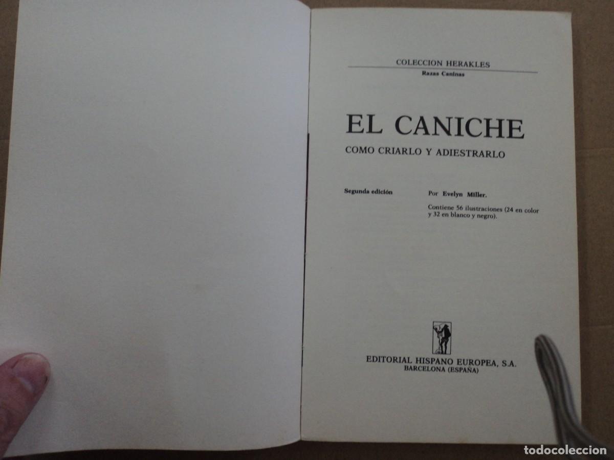 Libros: El Caniche - Evelyn Miller - Foto 2