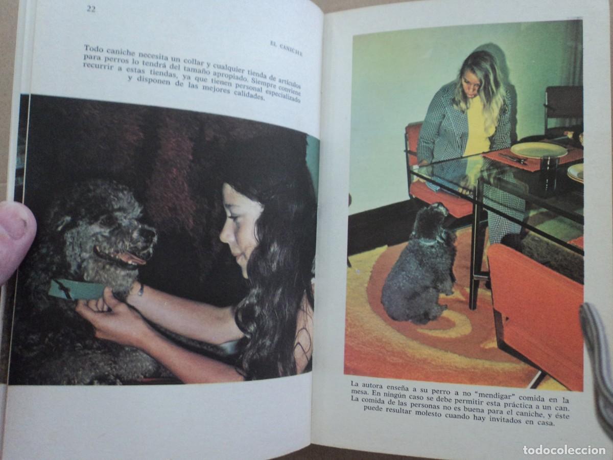 Libros: El Caniche - Evelyn Miller - Foto 3