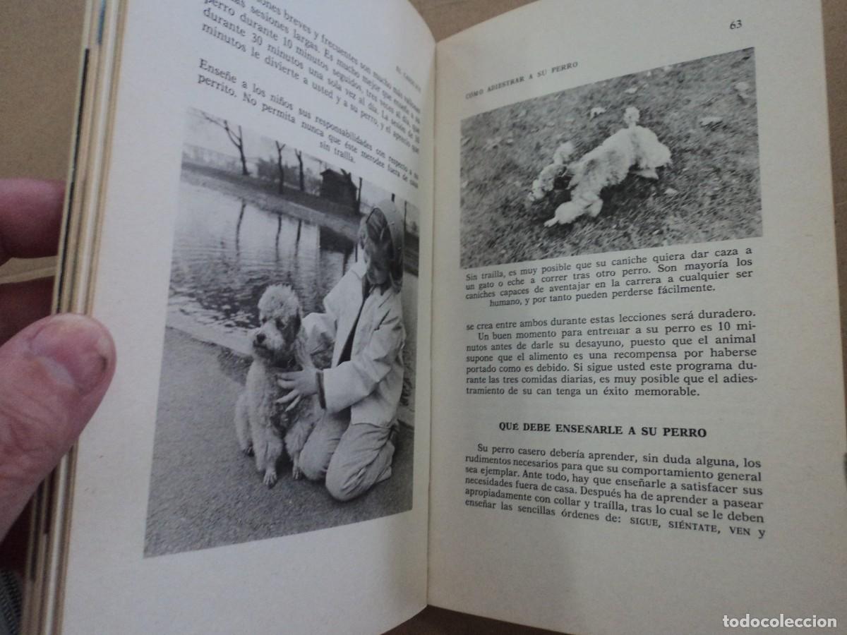 Libros: El Caniche - Evelyn Miller - Foto 4