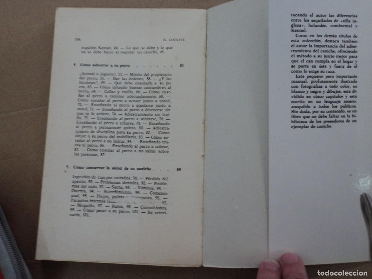 Libros: El Caniche - Evelyn Miller - Foto 5