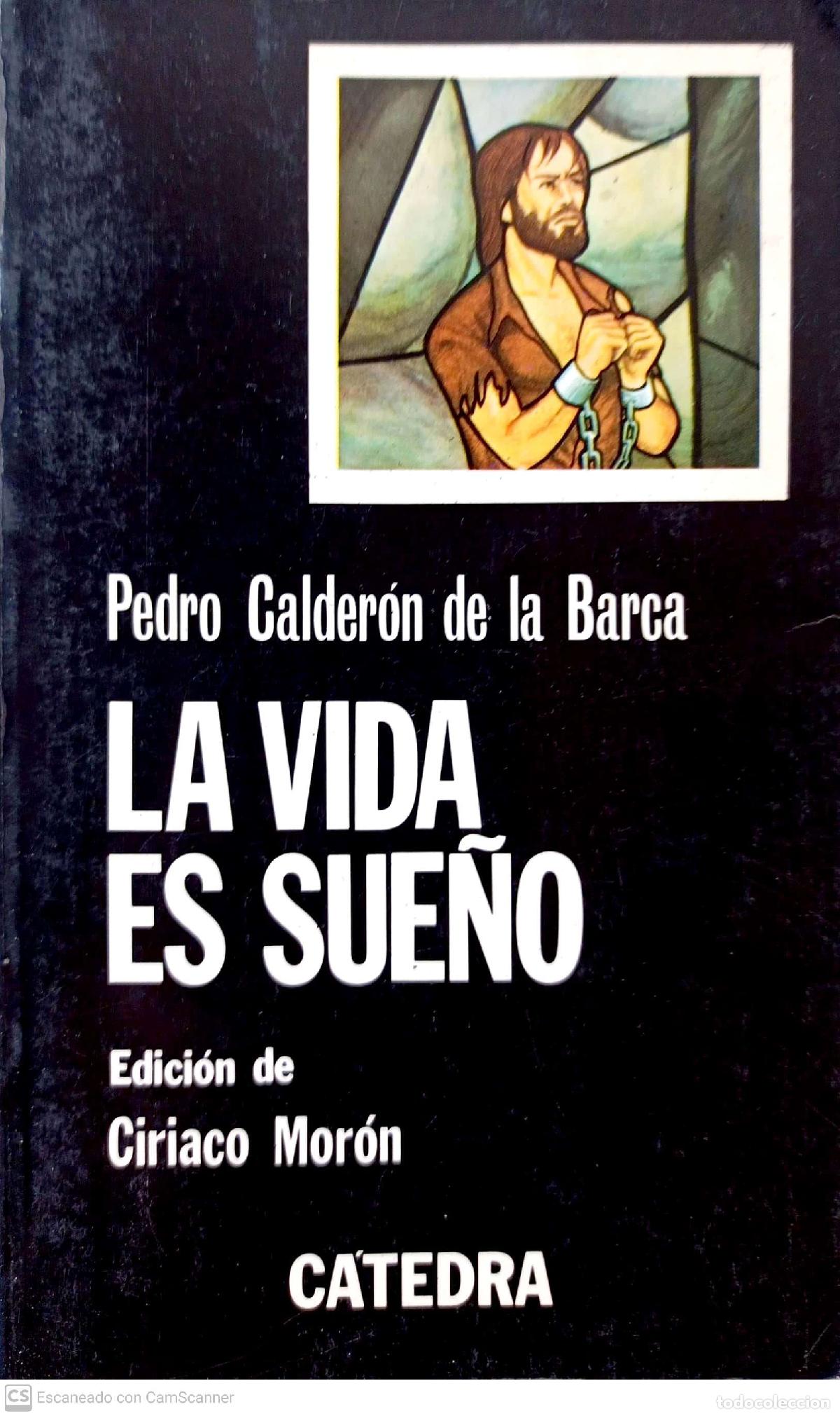 Libros: La vida es sue&ntilde;o - Calder&oacute;n de la Barca, Pedro - Foto 1
