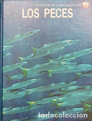 Libros: Los peces - Foto 1