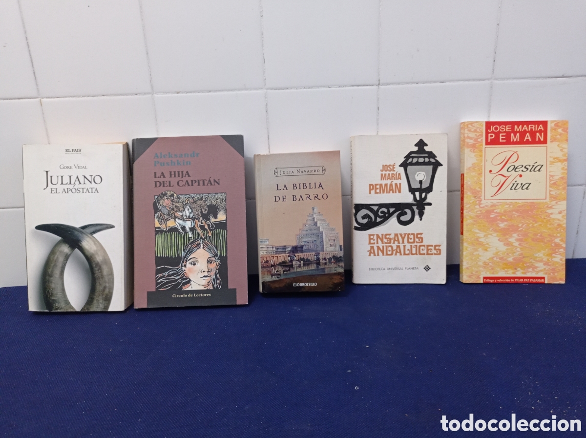 Libros: LOTE 5 LIBRO VARIADOS, ESTADOS ACEPTABLES - Foto 1