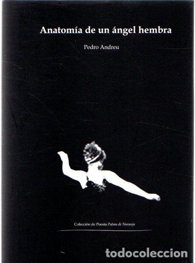 Libros: Anatom&iacute;a de un &aacute;ngel hembra - Andreu, Pedro - Foto 1