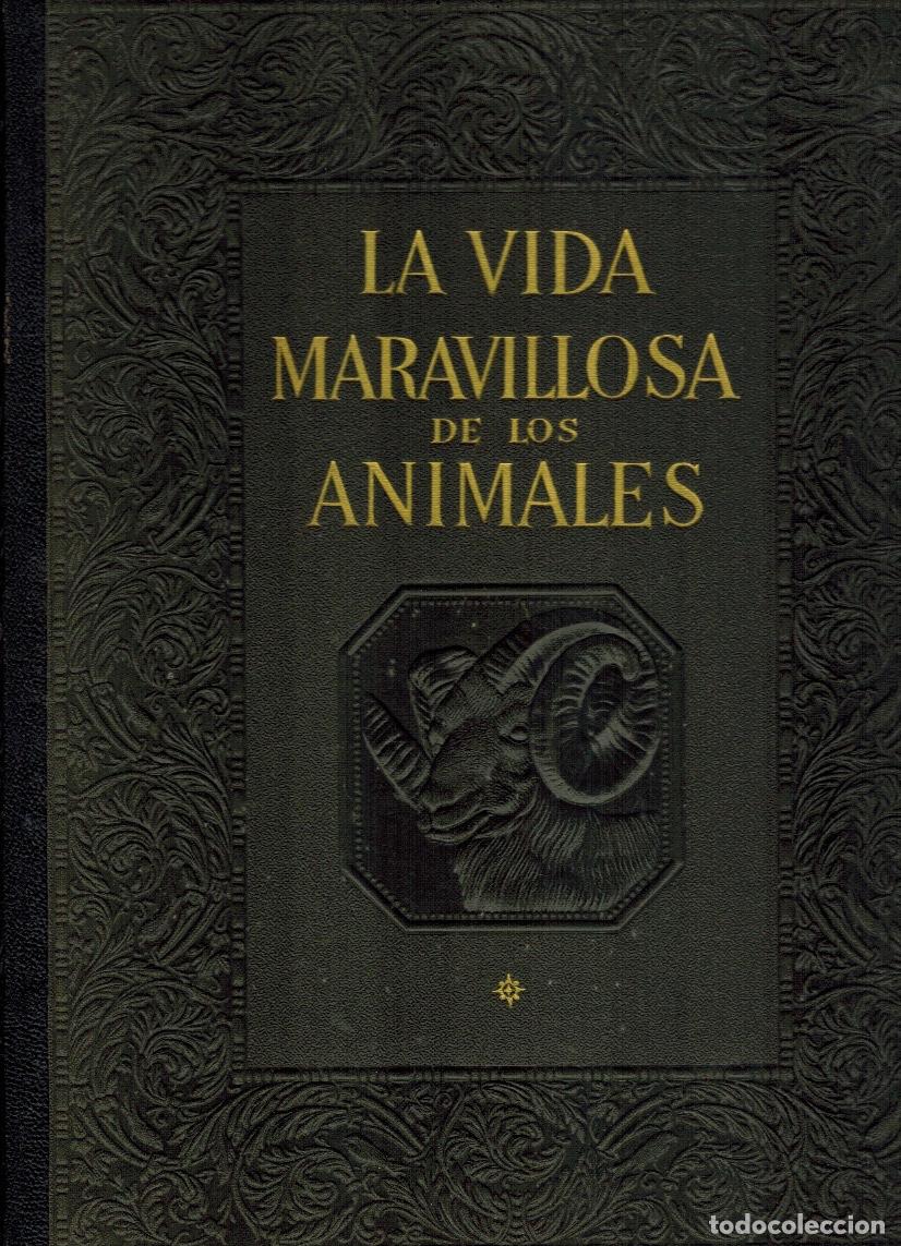 Libros: LA VIDA MARAVILLOSA DE LOS ANIMALES (2 TOMOS) - Foto 1