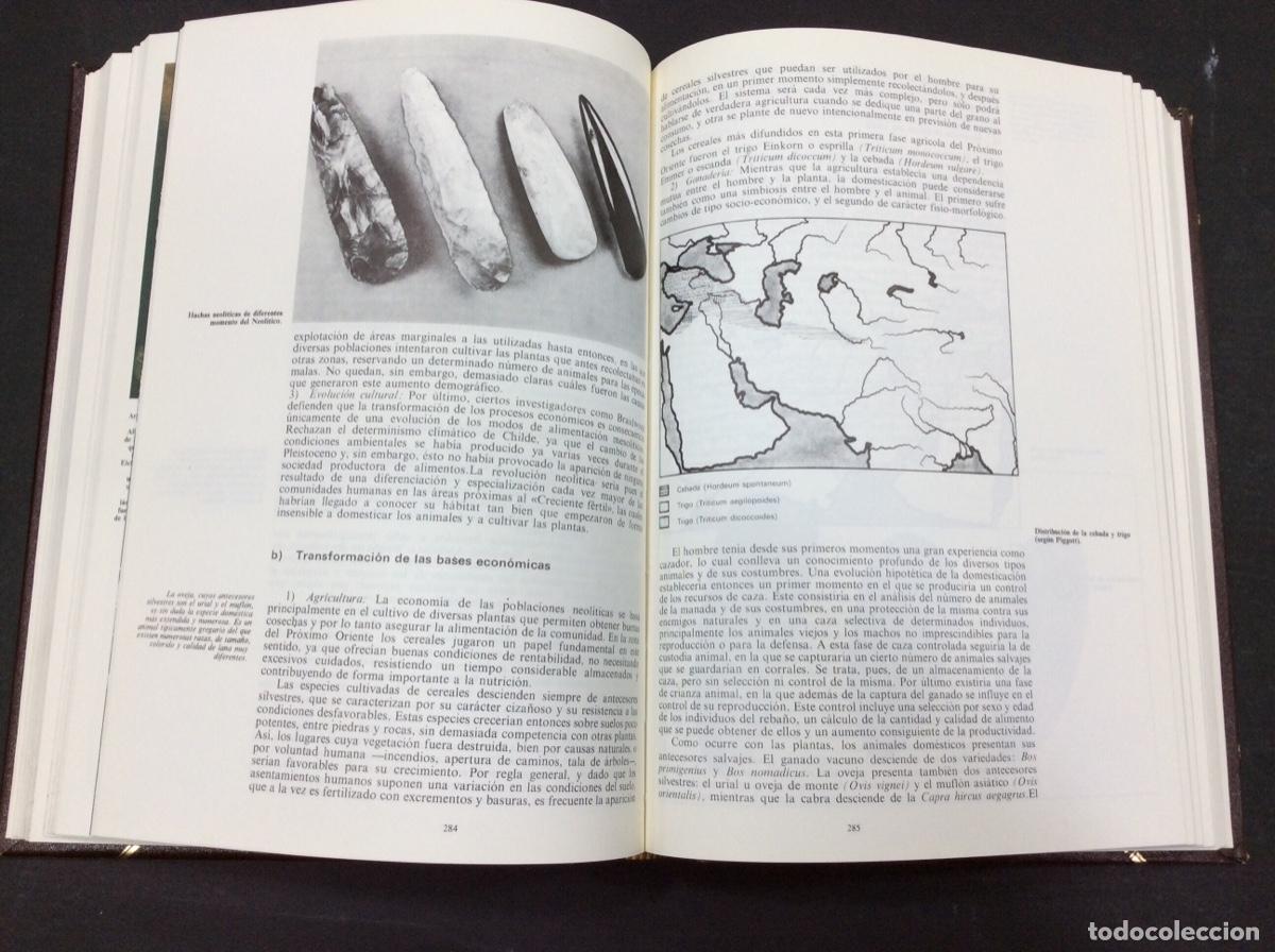 Libros: Gran Historia Universal - La Prehistoria - Vol. I - Foto 4