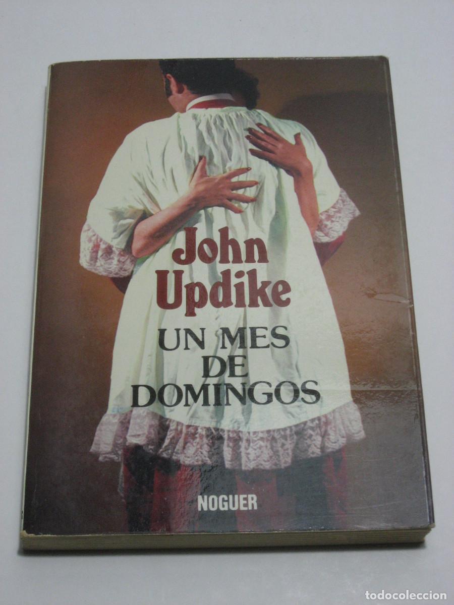 Libros: UN MES DE DOMINGOS - John Updike - Foto 1