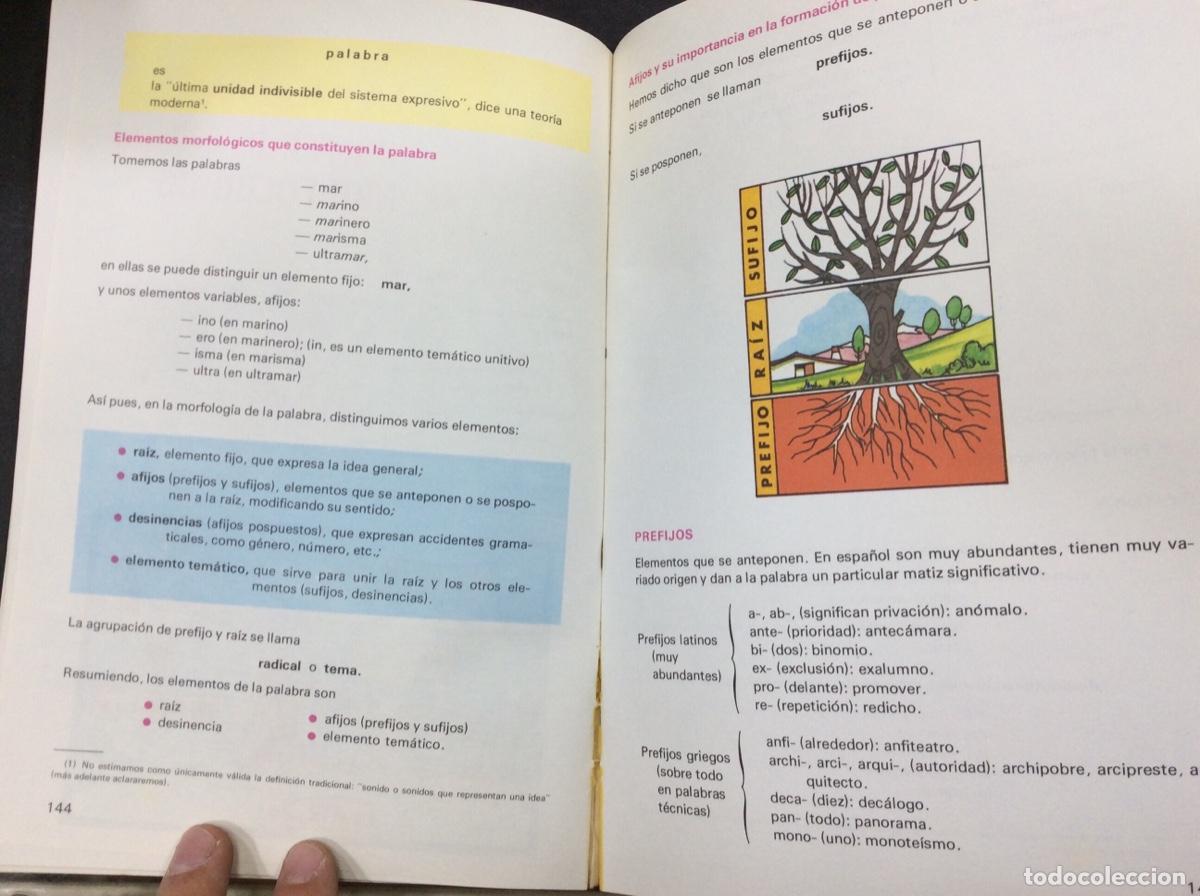 Libros: NOSOTROS Y LAS PALABRAS 6 EGB - EDELVIVES - Foto 3