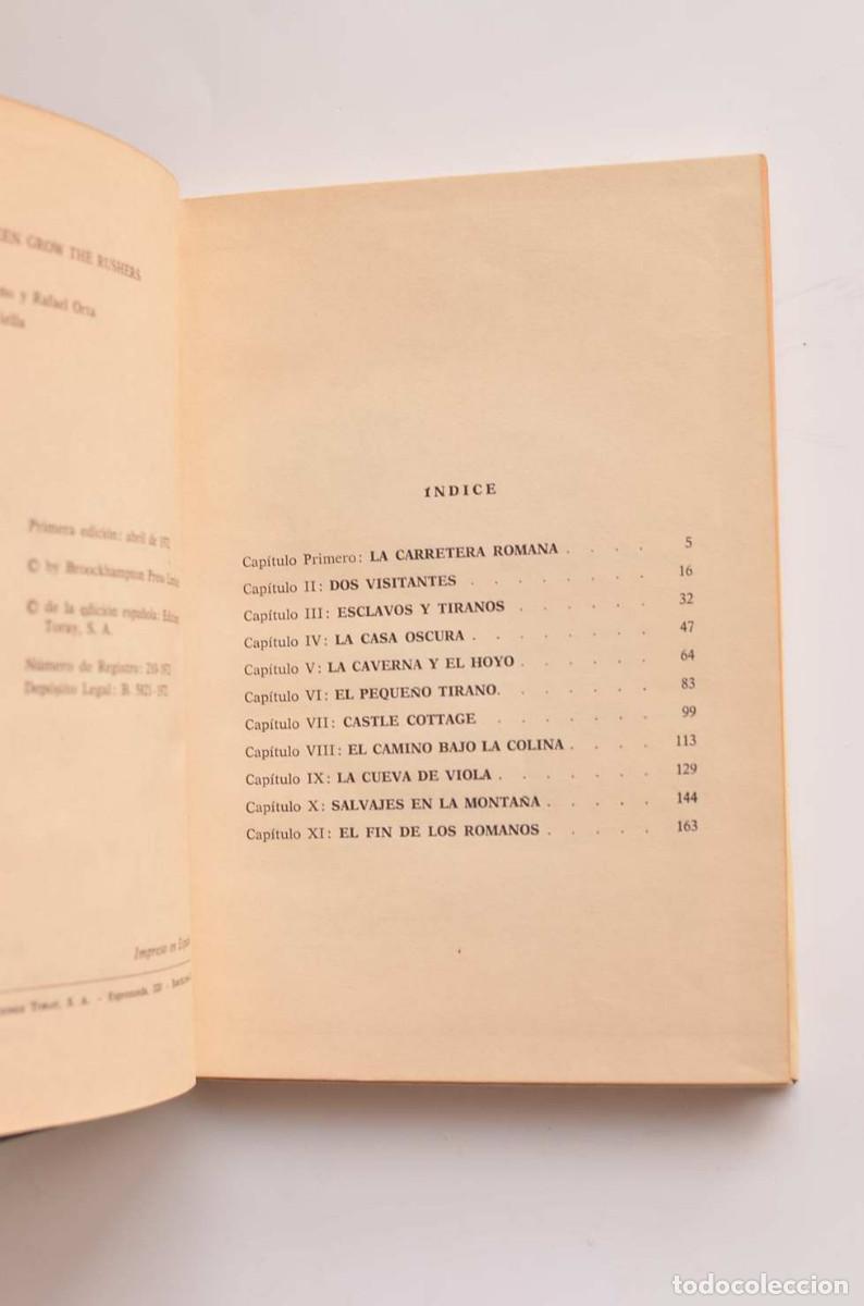 Libros: Verdes crecen los juncos - LYON, Elinor - Foto 3