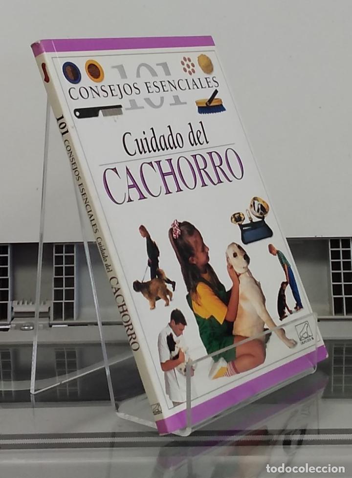 Libros: 101 consejos esenciales, cuidado del cachorro - Bruce Fogle - Foto 1