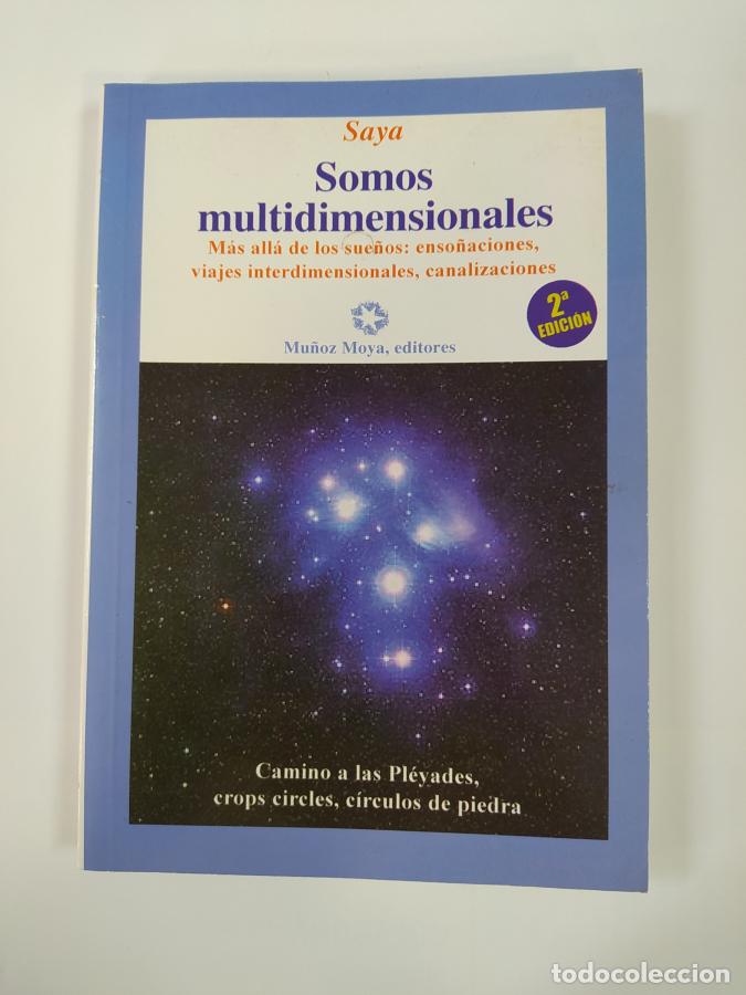 Libros: SOMOS MULTIDIMENSIONALES, MAS ALLA DE LOS SUE&Ntilde;OS. - SAYA. TDK771 - Foto 1