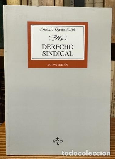 Libros: DERECHO SINDICAL. Octava edici&oacute;n - OJEDA AVILES, Antonio - Foto 1