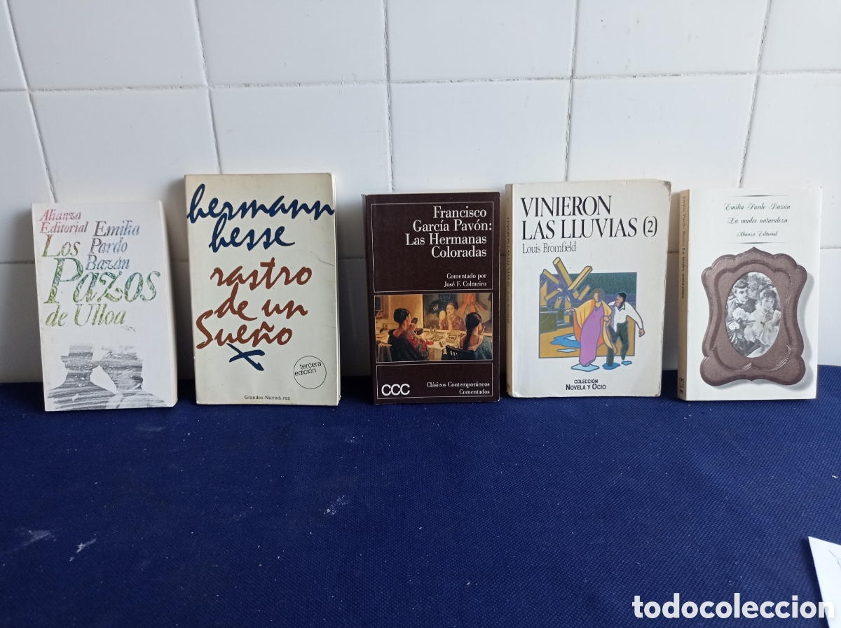 Libros: LOTE 5 LIBROS VARIOS, ESTADOS ACEPTABLE - Foto 1