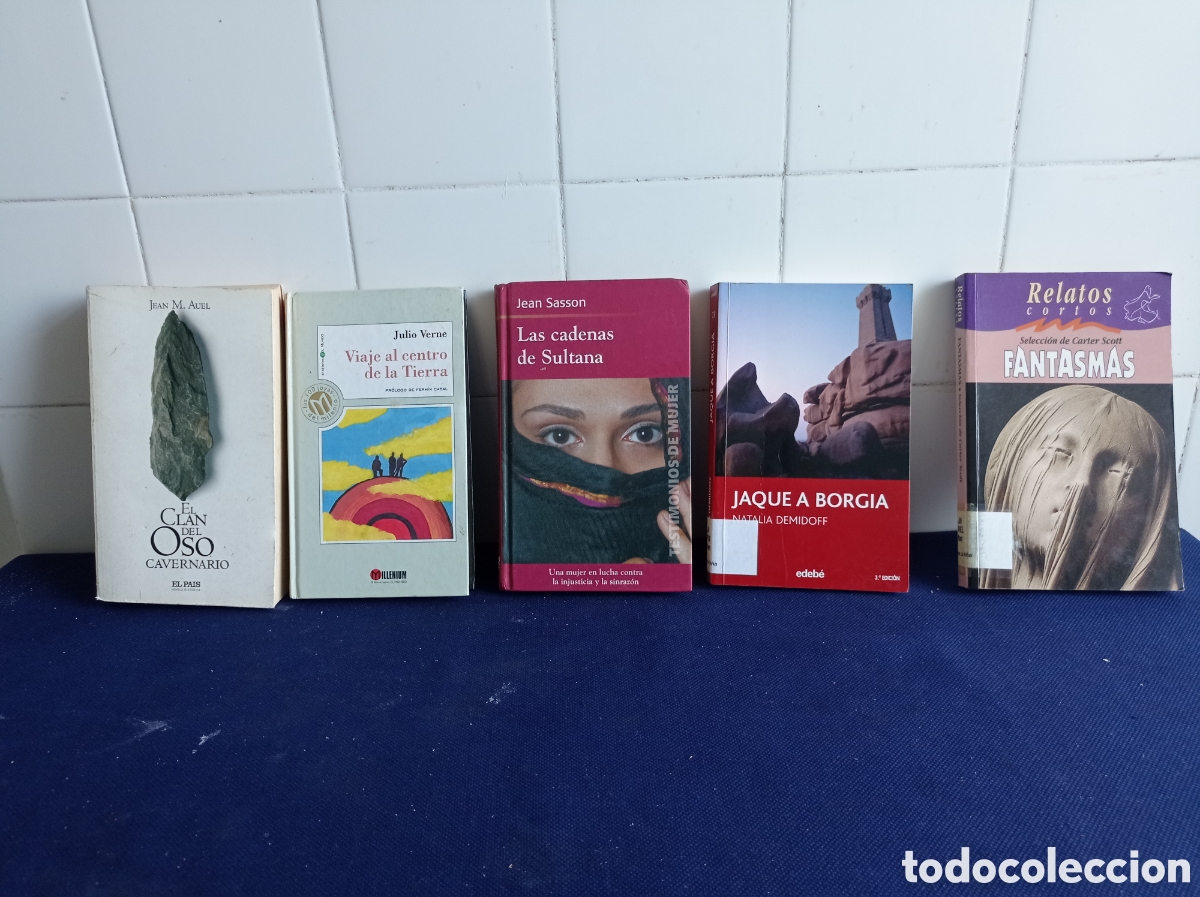 Libros: LOTE 5 LIBROS VARIOS, ESTADOS ACEPTABLES - Foto 1