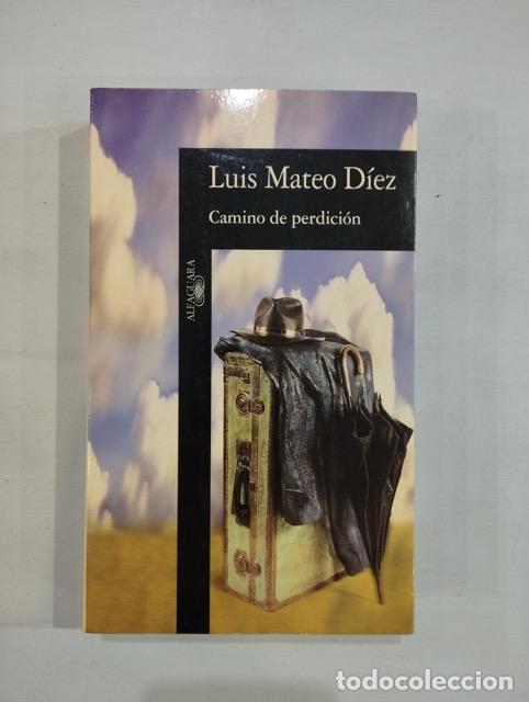 Libros: Luis Mateo D&iacute;ez - Camino de perdici&oacute;n - Foto 1