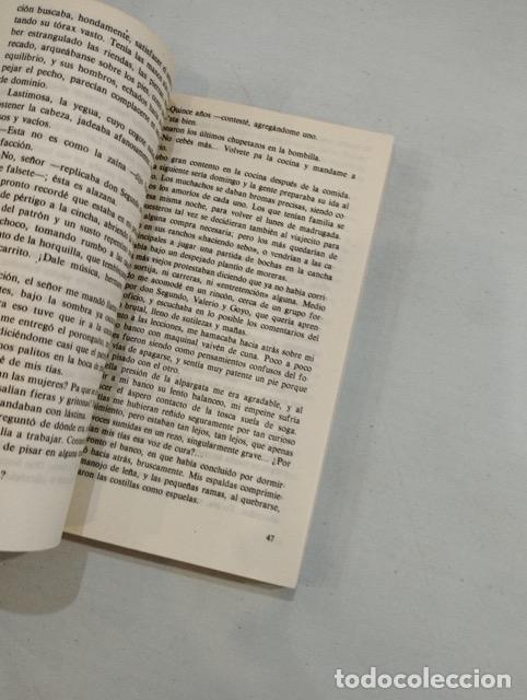 Libros: Ricardo G&uuml;iraldes - Don segundo Sombra - Foto 2