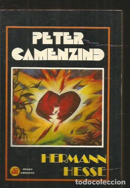 Libros: PETER CAMENZIND - HESSE, HERMANN - Foto 1