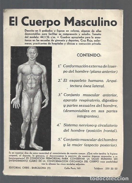 Libros: CUERPO MASCULINO - EL - VARIOS - Foto 1