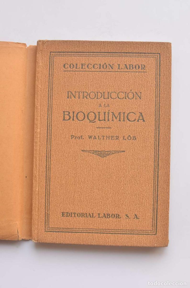 Libros: Introducci&oacute;n a la bioqu&iacute;mica - L&Ouml;B, Whalther - Foto 2