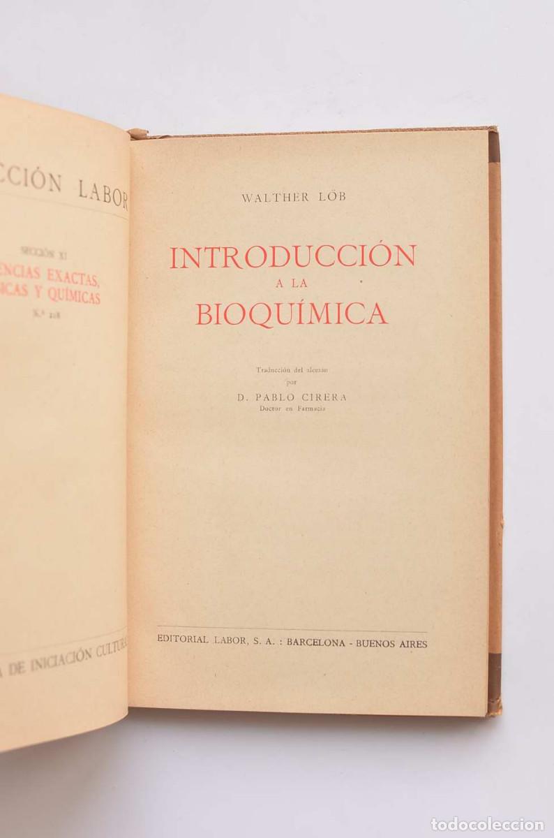 Libros: Introducci&oacute;n a la bioqu&iacute;mica - L&Ouml;B, Whalther - Foto 3