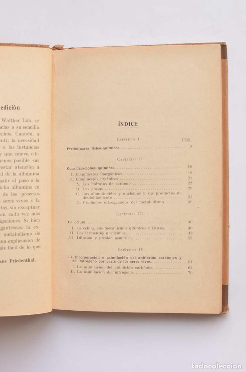 Libros: Introducci&oacute;n a la bioqu&iacute;mica - L&Ouml;B, Whalther - Foto 4