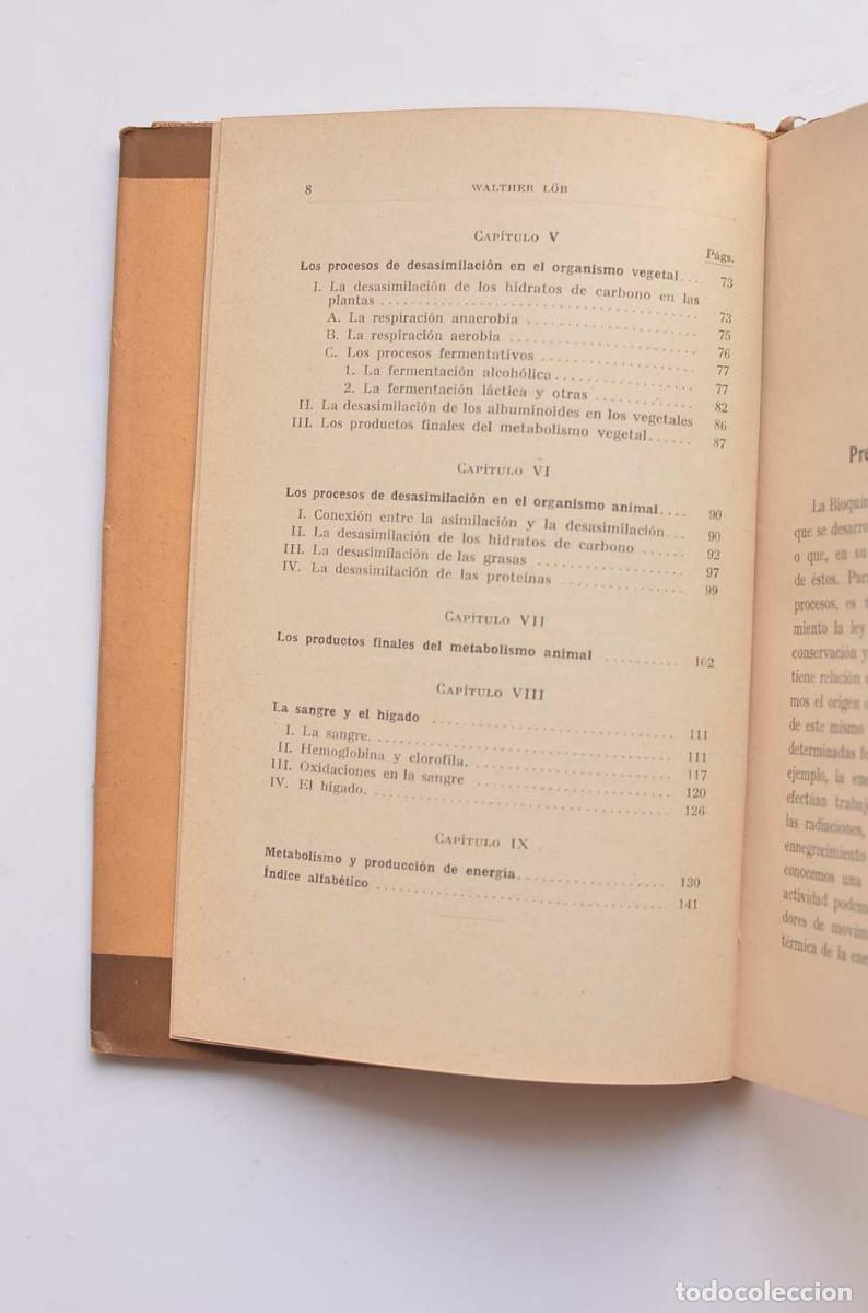 Libros: Introducci&oacute;n a la bioqu&iacute;mica - L&Ouml;B, Whalther - Foto 5