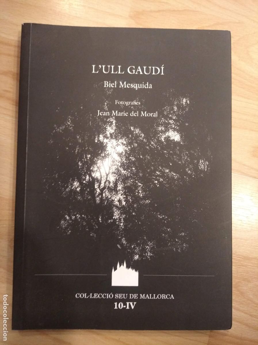 Libros: Lull Gaud&iacute;. Biel Mesquida - Foto 1