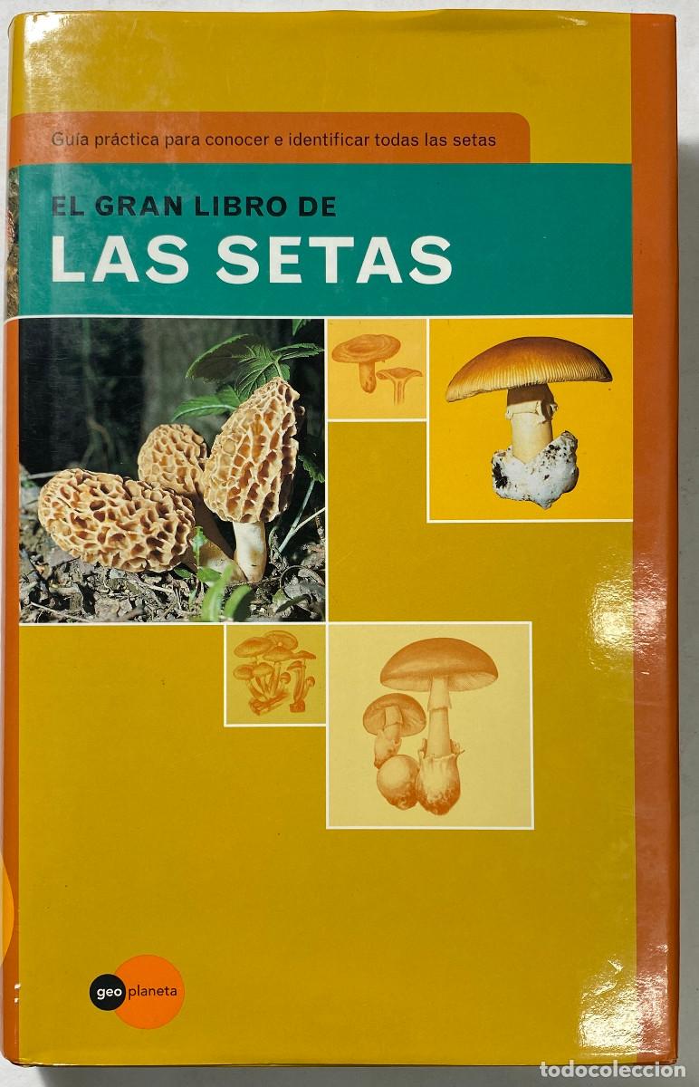 Libros: EL GRAN LIBRO DE LAS SETAS - ETTORE BIELLI - 1997 - Foto 1