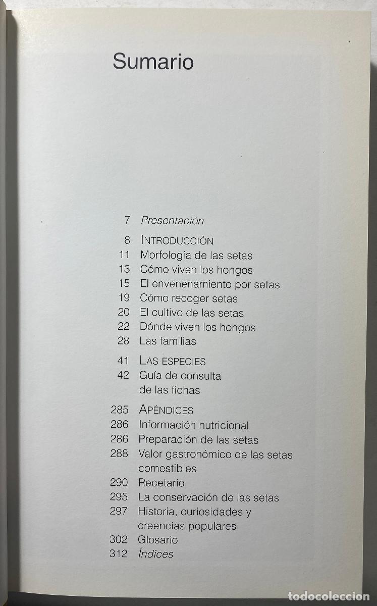 Libros: EL GRAN LIBRO DE LAS SETAS - ETTORE BIELLI - 1997 - Foto 3