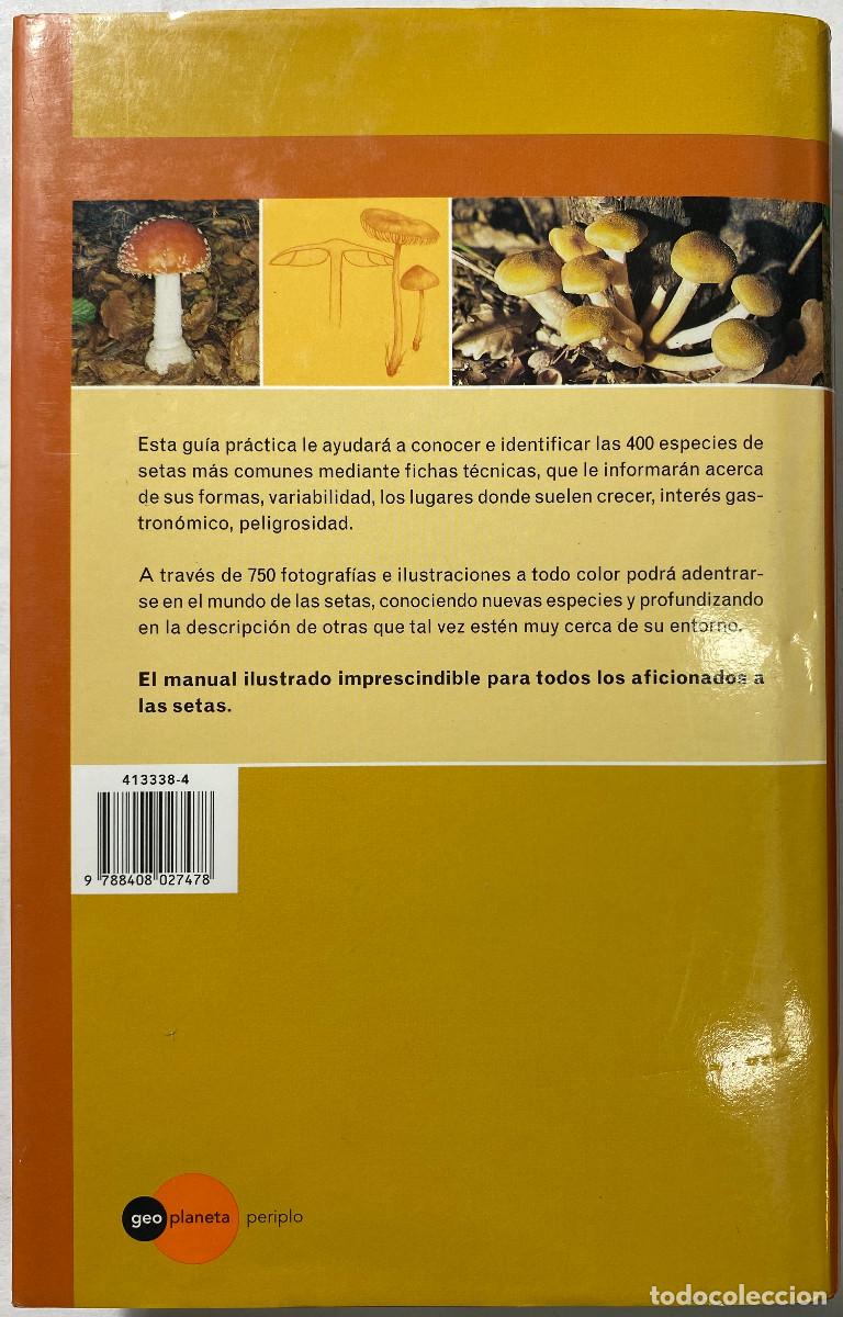Libros: EL GRAN LIBRO DE LAS SETAS - ETTORE BIELLI - 1997 - Foto 4