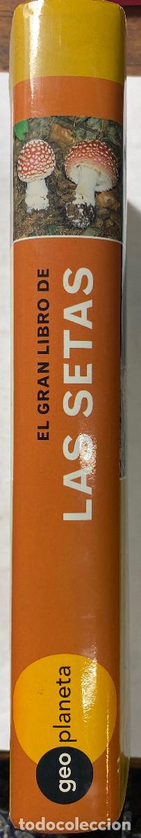Libros: EL GRAN LIBRO DE LAS SETAS - ETTORE BIELLI - 1997 - Foto 5